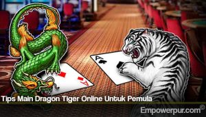 Tips Main Dragon Tiger Online Untuk Pemula